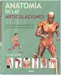 ANATOMIA DE LAS ARTICULACIONES