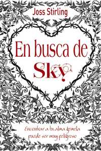 1. ALMAS GEMELAS: EN BUSCA DE SKY