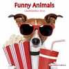 2016. CALENDARIO FUNNY ANIMALS