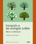 INICIACION A LAS ENERGIAS SUTILES