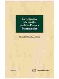 PROTECCION FAMILIA DESDE LOS PROCESOS MATRIMONIALES, LA