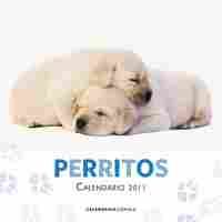 CALENDARIO PERRITOS 2011