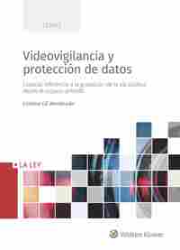 VIDEOVIGILANCIA Y PROTECCIÓN DE DATOS. ESPECIAL REFERENCIA A LA GRABACIÓN DE LA VÍA PÚBLICA DESDE EL