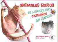 ANIMALES RAROS. LOS ANIMALES MAS EXTRAÑOS DEL PLANETA