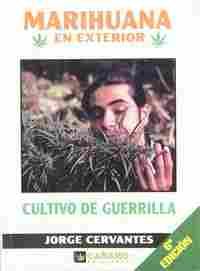 MARIHUANA EN EXTERIOR CULTIVO DE GUERRILLA