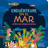 ENCUÉNTRAME EN EL MAR. UN LIBRO CON SOLAPAS SORPRESA