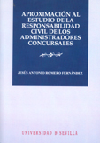 2º. APROXIMACION ESTUDIO RESP.CIVIL ADMINISTRADOR