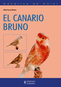 CANARIO BRUNO, EL