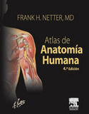 (4º) ATLAS DE ANATOMIA HUMANA. NETTER