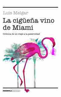 LA CIGÜEÑA VINO DE MIAMI. CRÓNICA DE UN VIAJE A LA PATERNIDAD