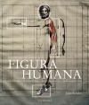 HISTORIA TEORIAS DE LA FIGURA HUMANA. DIBUJO/ ANATOMIA/ PROPORCION/ FISIOGNOMIA