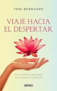 VIAJE HACIA EL DESPERTAR