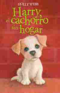HARRY,EL CACHORRO SIN HOGAR