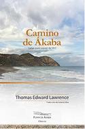CAMINO DE ÁKABA. CARTAS ENERO-AGOSTO 1917