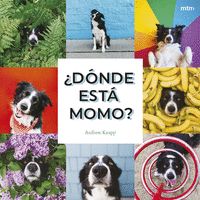 ¿DÓNDE ESTÁ MOMO?