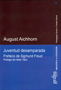 JUVENTUD DESAMPARADA