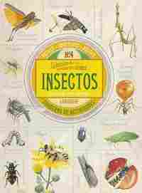 INSECTOS: UN SINFIN DE SERES DIMINUTOS. CUADERNO DE ACTIVIDADES