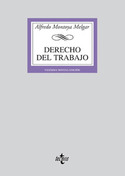 (29º) DERECHO DEL TRABAJO
