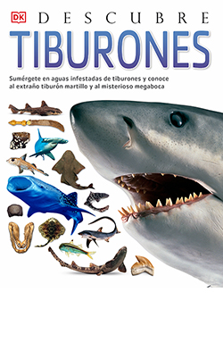DESCUBRE TIBURONES