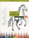 DIBUJAR CABALLOS