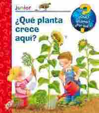 ¿QUE PLANTA CRECE AQUÍ?  ¿QUÉ, CÓMO Y POR QUÉ?