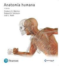 (9ª) ANATOMÍA HUMANA