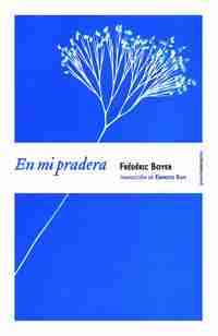 EN MI PRADERA