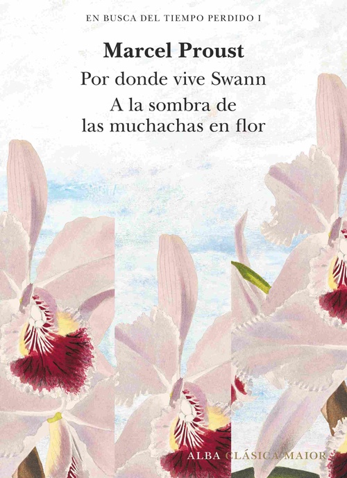 POR DONDE VIVE SWANN / A LA SOMBRA DE LAS MUCHACHAS EN FLOR. EN BUSCA DEL TIEMPO PERDIDO, 1