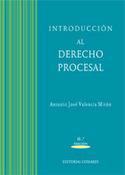 (11º) INTRODUCCION AL DERECHO PROCESAL