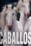 CABALLOS. XL