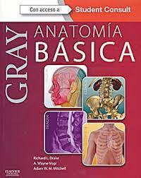 GRAY. ANATOMIA BASICA