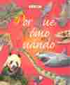 POR QUE, COMO, CUANDO ROJO