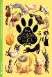 BREVE GATOPEDIA ILUSTRADA