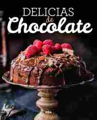 DELICIAS DE CHOCOLATE