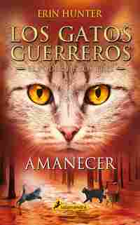 6. AMANECER. LOS GATOS GUERREROS. EL PODER DE LOS TRES