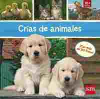 CRIAS DE ANIMALES