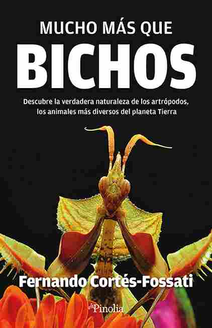 MUCHO MÁS QUE BICHOS. DESCUBRE LA VERDADERA NATURALEZA DE LOS ARTRÓPODOS, LOS ANIMALES MÁS DIVERSOS