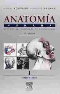 PACK  ROUVIÈRE 4 VOL. TRATADO DE ANATOMIA