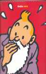 CALENDARIO 2007 TINTIN 2007