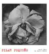 PILAR PEQUEÑO. LUNWERG PHOTO