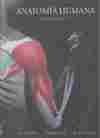 (6º) ANATOMIA HUMANA