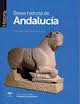 BREVE HISTORIA DE ANDALUCIA