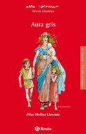 11. AURA GRIS