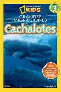 CACHALOTES. NIVEL 3